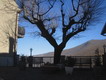 Terrazza sulla Valle dell Aniene